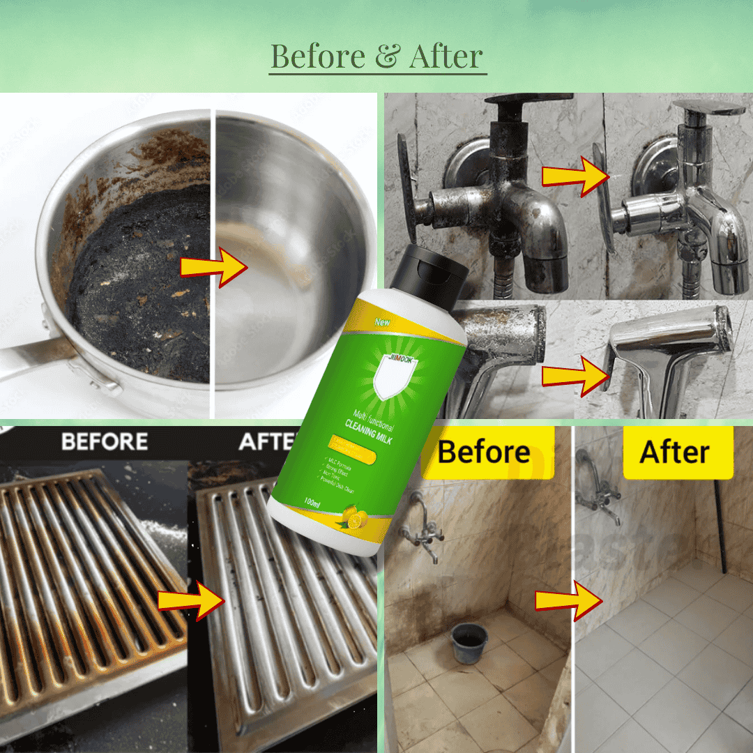 Multifunctional Cleaner - Pack of 4 ( 100 ml )