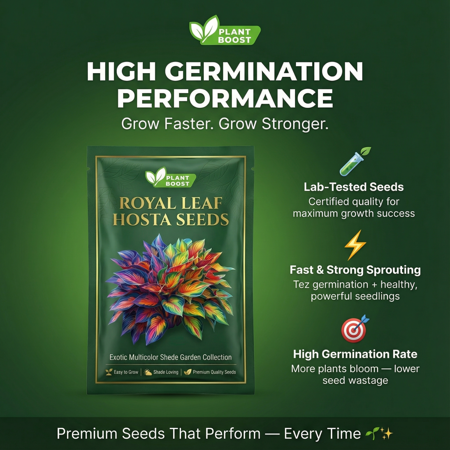 Rare Multicolor Hosta Seeds + Plant Growth Serum Free