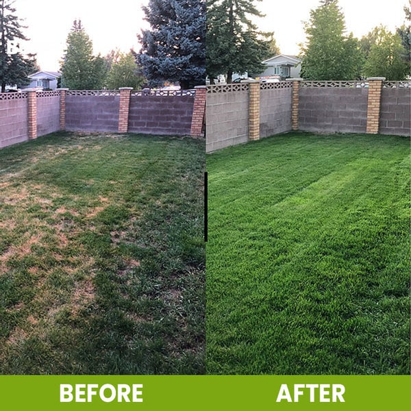 SoilProtein™ -Improves soil health-Plants grow 10x better- Free Hosta seeds+Growth serum+2 packs of soil protein (pack of 1999, now only at 599)