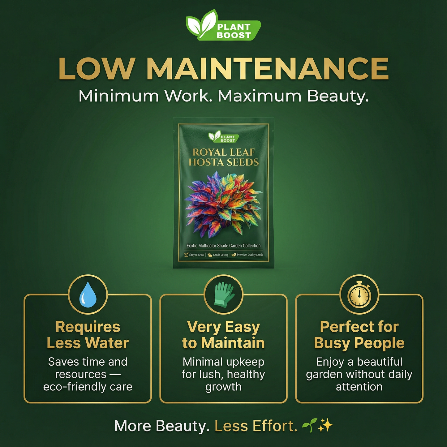 Rare Multicolor Hosta Seeds + Plant Growth Serum Free